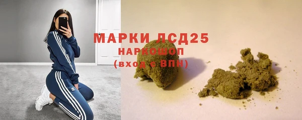spice Медвежьегорск